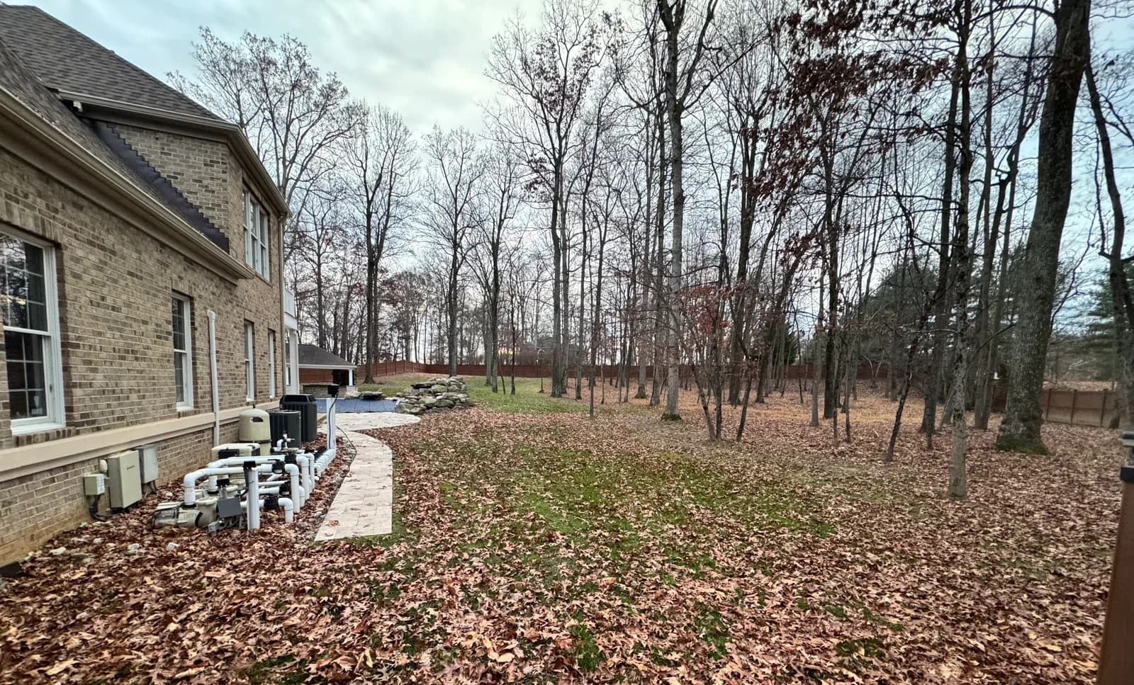 Backyard covered in leaves before cleanup